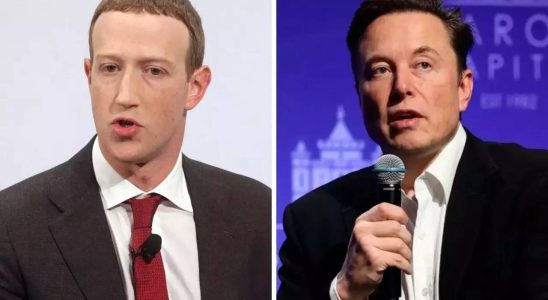 Sportereignis Musk sagt dass der Kaefigkampf mit Zuckerberg in Italien