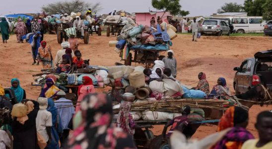 Sudan Die Zeit wird knapp Hilfsorganisationen fordern sofortiges Handeln im