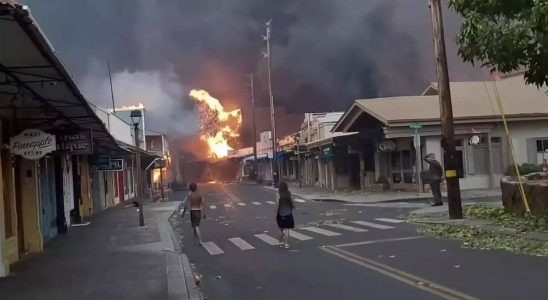 Waldbraende auf Maui 2 Opfer des Waldbrands auf Maui identifiziert