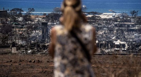 Waldbrand auf Hawaii Gebete Terror und ein Wettlauf um die
