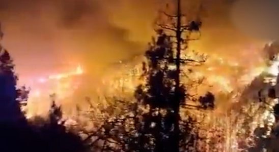 Waldbrand auf Teneriffa breitet sich weiter aus Feuerwehr hat die