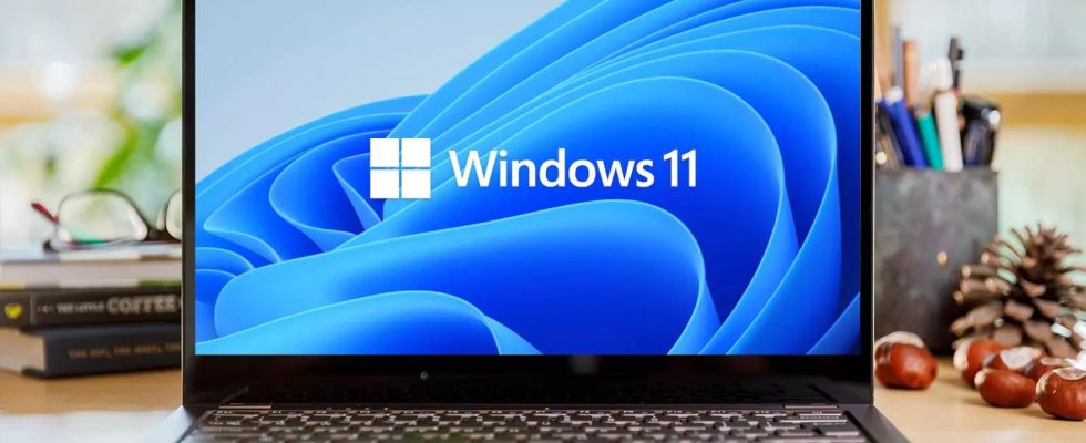 Windows 11 Microsoft veroeffentlicht internes Tool mit dem Benutzer „geheime