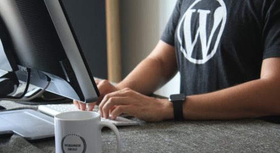 WordPress verkauft jetzt 100 Jahres Domains