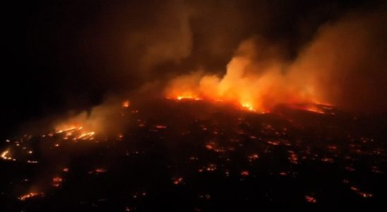 „Beispiellose Waldbraende auf Hawaii fordern mindestens sechs Todesopfer Im