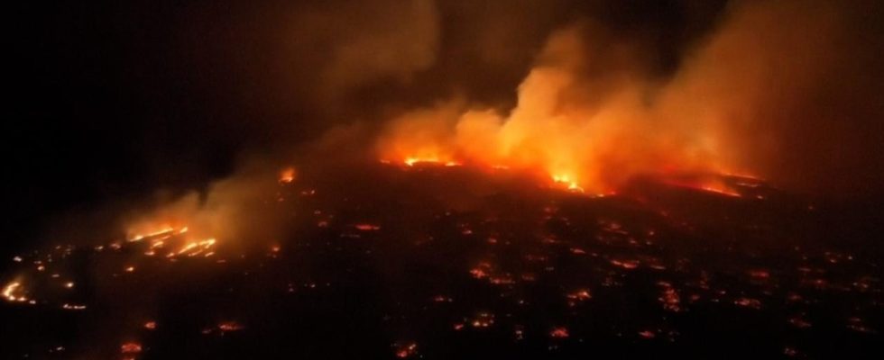 „Beispiellose Waldbraende auf Hawaii fordern mindestens sechs Todesopfer Im