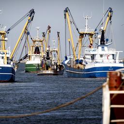 Auch im Jahr 2023 wird die Fischerei wegen der hohen