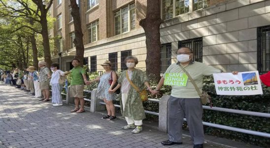 Baeume retten Demonstranten fordern dass Japan Tausende Baeume rettet indem