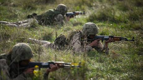 Britische Armee kuerzt ukrainisches Training wegen Laermbeschwerden – World