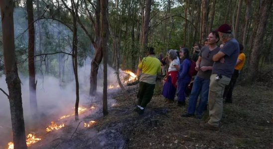 Buschfeuersaison in Australien Waehrend sich Australien auf die Buschfeuersaison vorbereitet