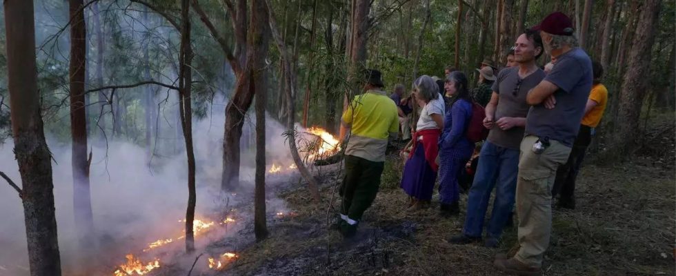 Buschfeuersaison in Australien Waehrend sich Australien auf die Buschfeuersaison vorbereitet