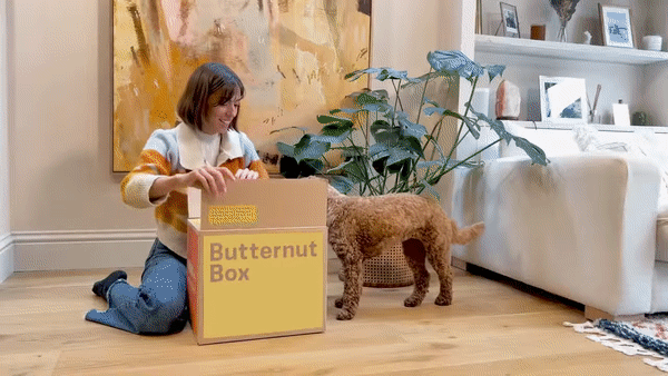 Butternuss-Box