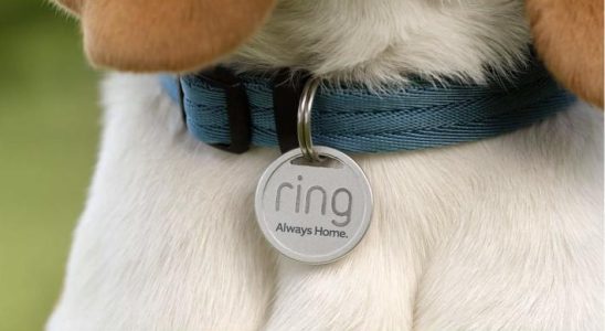Das neue Pet Tag Zubehoer von Ring hilft dabei verlorene Haustiere wieder