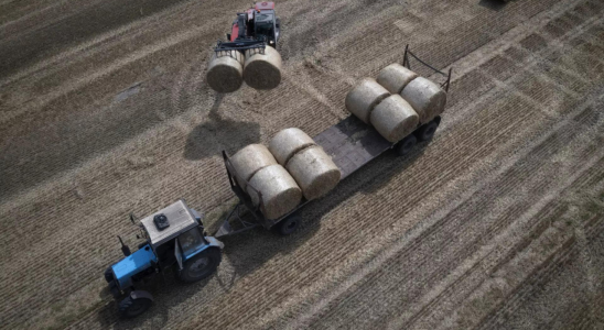 Die EU beendet die Beschraenkungen fuer Agrarexporte der Ukraine Selenskyj
