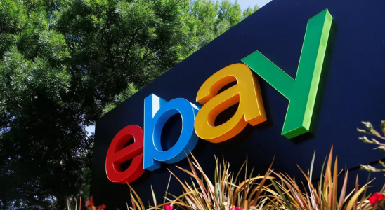 Die USA verklagen eBay wegen des Verkaufs umweltschaedlicher Produkte