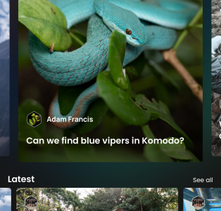 Die neue App von Voiijer bietet eine soziale Community fuer