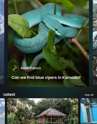 Die neue App von Voiijer bietet eine soziale Community fuer