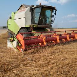 EU erlaubt ukrainisches Getreide wieder im Austausch fuer Kiewer Massnahmen
