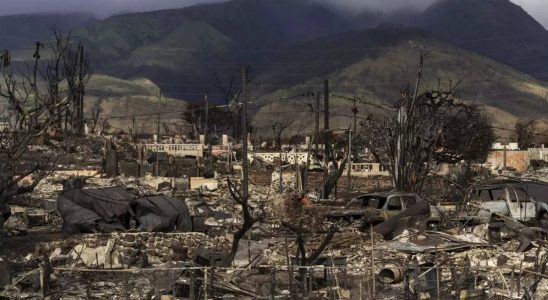 Erste Kongressanhoerung zum Waldbrand auf Maui die sich auf den