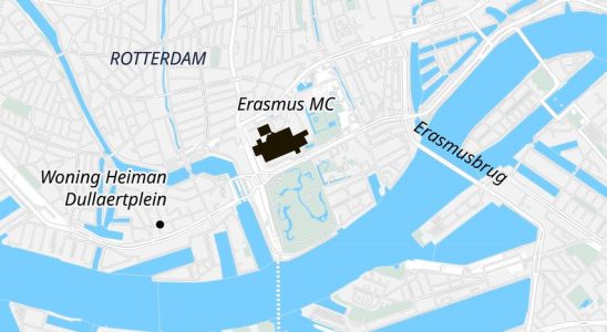 Haben Sie die Gewalt in Rotterdam miterlebt Teilen Sie Ihre