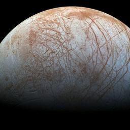 James Webb Teleskop findet „wesentlichen Teil des Lebens auf dem Mond Jupiter