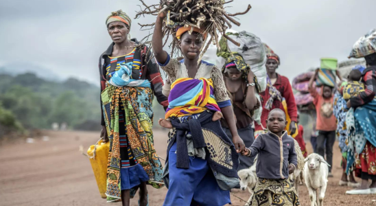 Kongo Eine alarmierende humanitaere Krise und massive sexuelle Gewalt erschuettern