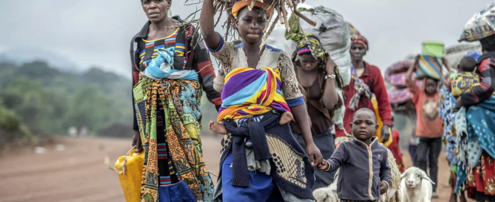 Kongo Eine alarmierende humanitaere Krise und massive sexuelle Gewalt erschuettern