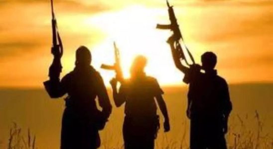 Mindestens zehn nigerianische Soldaten bei militantem Angriff getoetet