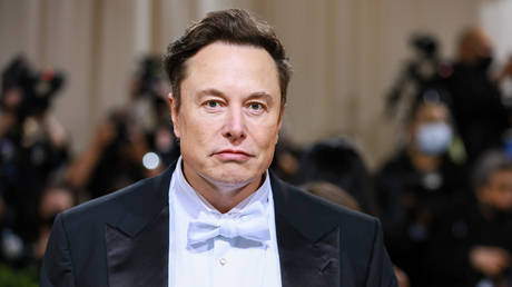 Musk „hat Boeses getan – Top Berater von Selenskyj – World