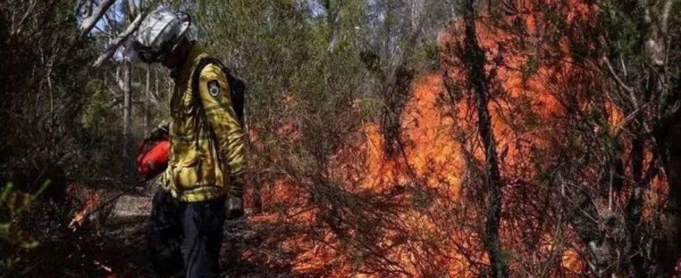 Riesiges Buschfeuer wuetet in Zentralaustralien in der Naehe einer beliebten