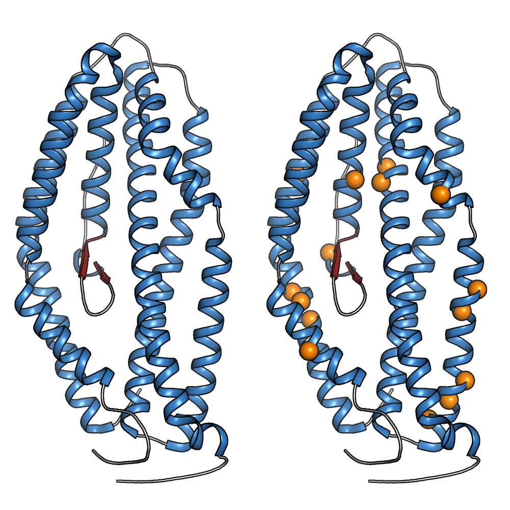 Scala Biodesign macht es einfach Proteine ​​Molekuel fuer Molekuel –