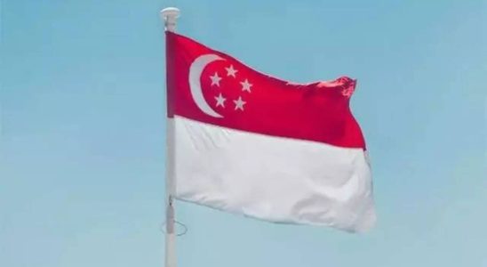 Singapur wirft britischen Journalisten auslaendische Einmischung vor