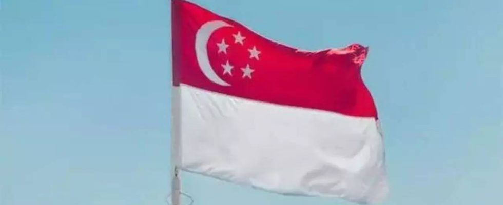 Singapur wirft britischen Journalisten auslaendische Einmischung vor