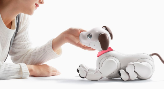 Sony wird dabei helfen fuer seine alternden Roboterhunde ein neues