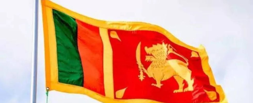 Uditha Jayasinghe Sri Lanka kuendigt vor dem IWF Besuch einen 10 Milliarden Dollar Swap Deal