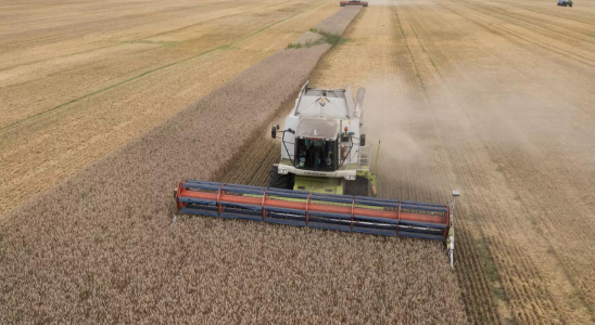 Ukraine Polen kuendigt eine Verlaengerung des Einfuhrverbots fuer ukrainisches Getreide