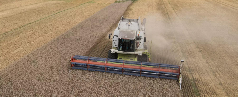 Ukraine Polen kuendigt eine Verlaengerung des Einfuhrverbots fuer ukrainisches Getreide
