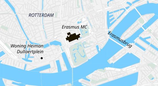 Verdaechtiger nach Schiessereien in Erasmus MC und Rotterdamer Haus festgenommen