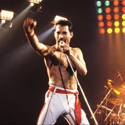 Versteigerung von Freddie Mercury Artikeln bringt mehr als 46 Millionen Euro ein