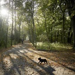 Wettervorhersage Viel Sonne auf dem Speiseplan an einem angenehmen Septemberwochenende