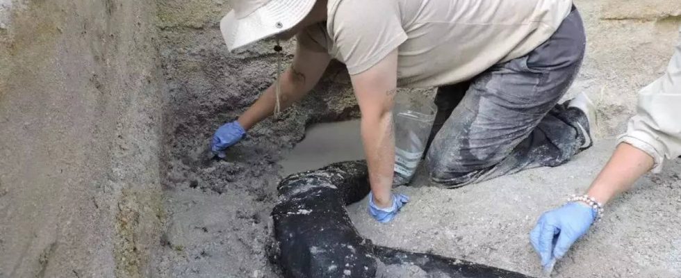 5000 Jahre alter Wein im Grab der altaegyptischen Koenigin entdeckt