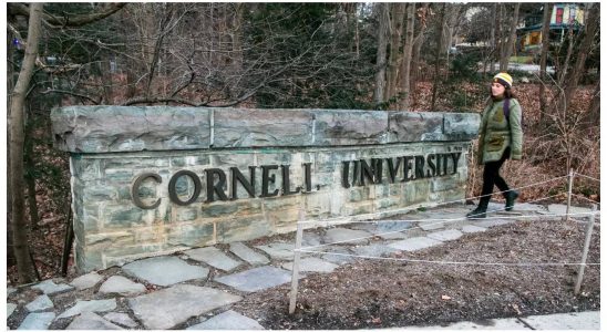 Antijuedische Botschaften Studenten der Cornell University haben Angst in ihren