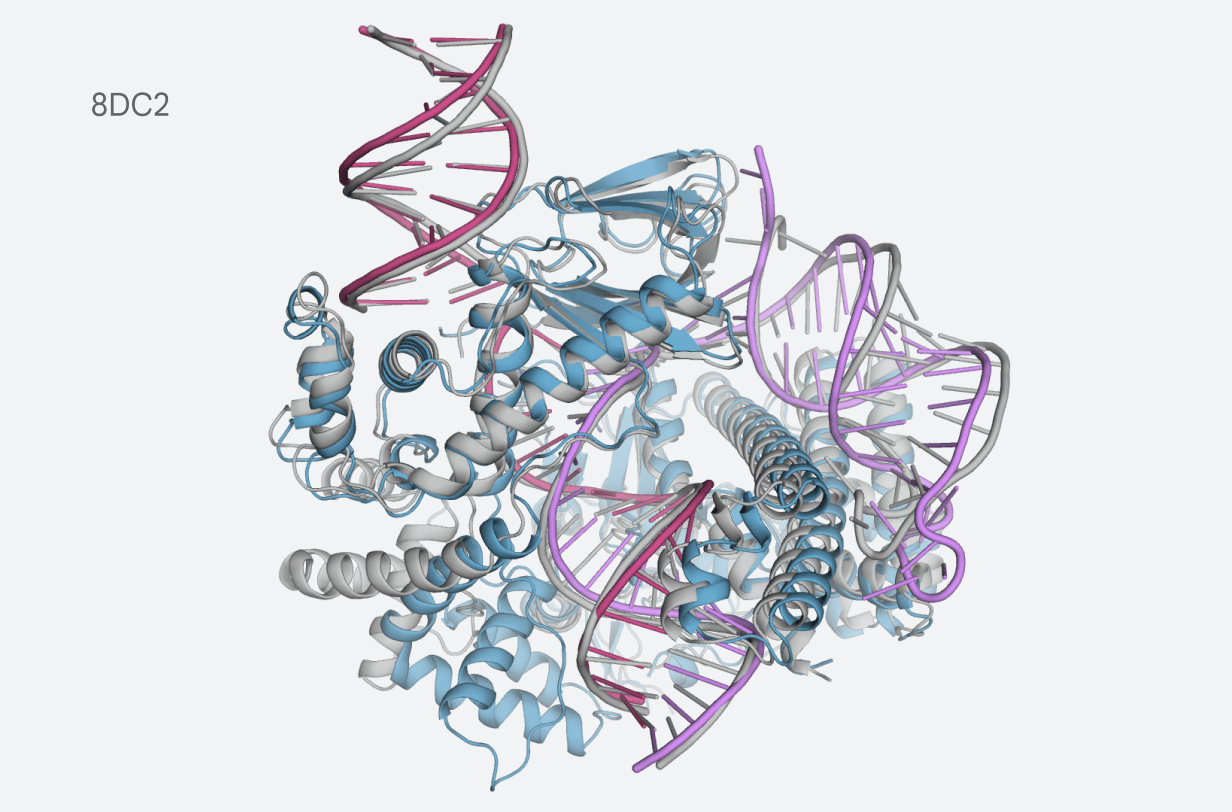 Eine vom neuesten AlphaFold-Modell vorhergesagte Proteinstruktur.
