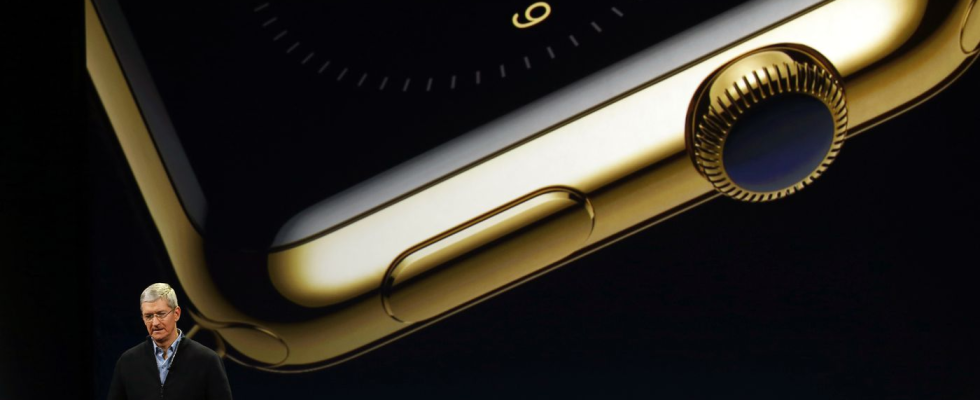 Diese 17000 US Dollar teure Apple Watch ist mittlerweile veraltet