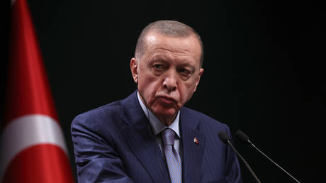 Erdogan fordert Israel auf seinen „Wahnsinn zu beenden – World