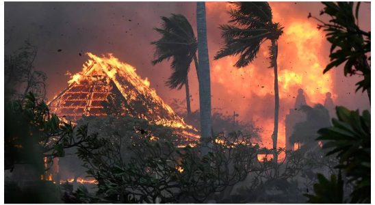 Evakuierte leben nach dem Waldbrand auf Maui als Nomaden da