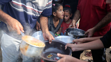 Gaza Bewohner pluendern Lagerhaeuser waehrend die Verzweiflung zunimmt – UN Agentur –