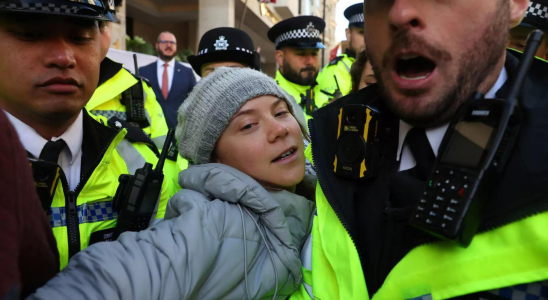 Greta Thunberg Klimaaktivistin Greta Thunberg von Polizei in London festgenommen