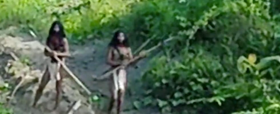 Indigene Indonesier sind wuetend auf Holzfaeller die den Dschungel abholzen