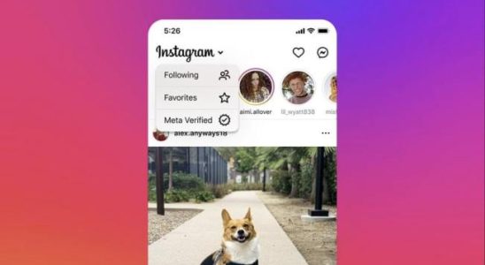Instagram testet einen speziellen Feed fuer Beitraege von Meta Verified Benutzern