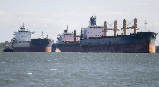 Mehrere Vermisste nach Kollision zweier Frachtschiffe in der Nordsee Deutsche